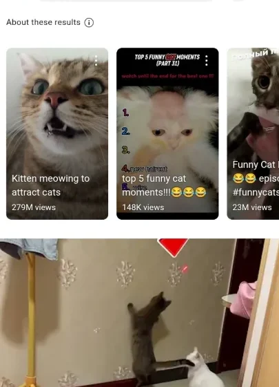 Snaptube software screenshot
